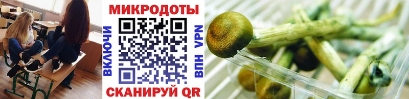 Галлюциногенные грибы Cubensis  блэк спрут ссылка  Кулебаки 